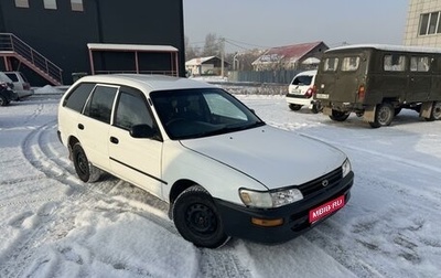 Toyota Corolla, 1995 год, 295 000 рублей, 1 фотография