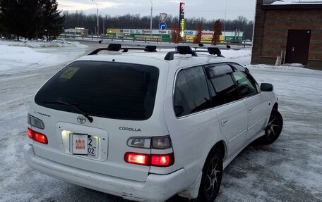 Toyota Corolla, 1999 год, 380 000 рублей, 2 фотография