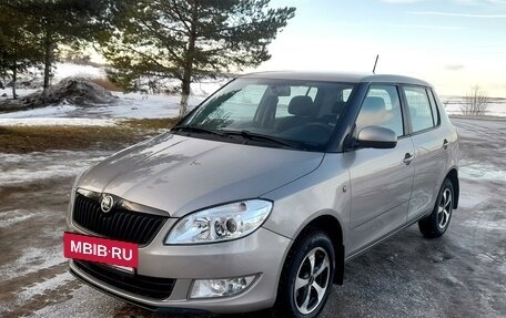 Skoda Fabia II, 2013 год, 535 000 рублей, 4 фотография