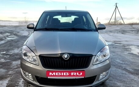 Skoda Fabia II, 2013 год, 535 000 рублей, 6 фотография