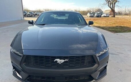 Ford Mustang, 2025 год, 7 000 000 рублей, 2 фотография