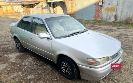 Toyota Corolla, 1995 год, 230 000 рублей, 3 фотография