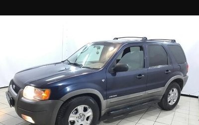 Ford Escape II, 2002 год, 670 000 рублей, 1 фотография