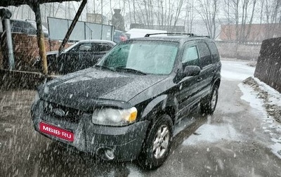 Ford Escape II, 2004 год, 470 000 рублей, 1 фотография