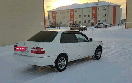 Toyota Corolla, 1999 год, 444 000 рублей, 2 фотография