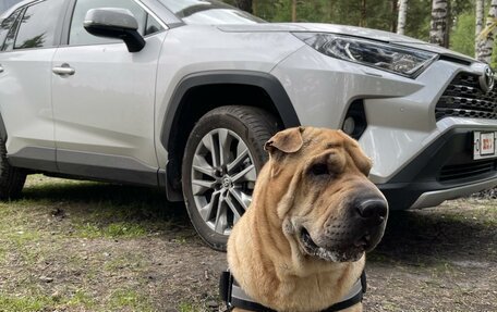 Toyota RAV4, 2021 год, 4 450 000 рублей, 9 фотография