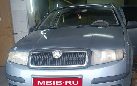 Skoda Fabia I, 2005 год, 315 000 рублей, 1 фотография