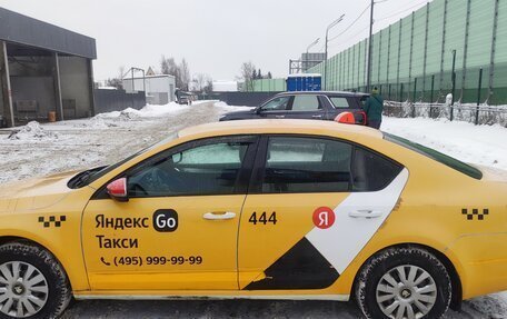 Skoda Octavia, 2018 год, 2 фотография