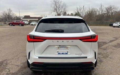 Lexus NX, 2022 год, 5 655 000 рублей, 5 фотография