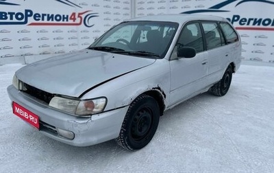 Toyota Corolla, 1998 год, 240 000 рублей, 1 фотография