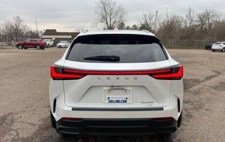 Lexus NX, 2022 год, 5 735 000 рублей, 5 фотография