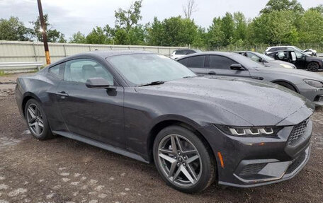 Ford Mustang, 2024 год, 6 900 000 рублей, 1 фотография