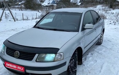 Volkswagen Passat B5+ рестайлинг, 1999 год, 350 000 рублей, 1 фотография