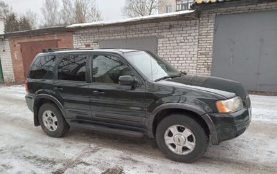 Ford Escape II, 2001 год, 650 000 рублей, 1 фотография