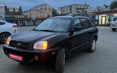 Hyundai Santa Fe III рестайлинг, 2003 год, 750 000 рублей, 1 фотография