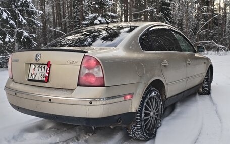 Volkswagen Passat B5+ рестайлинг, 2002 год, 535 000 рублей, 2 фотография