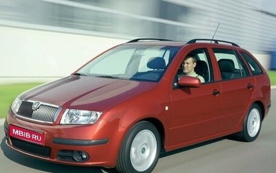 Skoda Fabia I, 2006 год, 300 000 рублей, 1 фотография