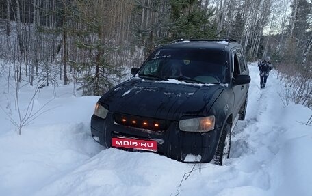 Ford Escape II, 2001 год, 600 000 рублей, 2 фотография