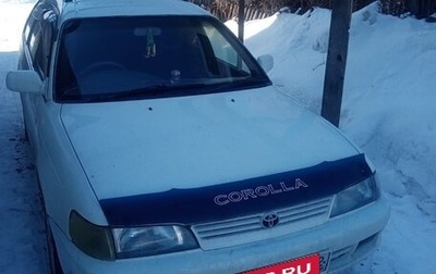 Toyota Corolla, 1998 год, 330 000 рублей, 1 фотография