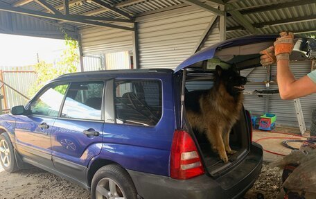 Subaru Forester, 2002 год, 765 000 рублей, 2 фотография