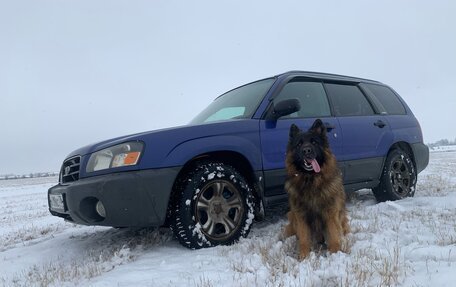 Subaru Forester, 2002 год, 765 000 рублей, 3 фотография