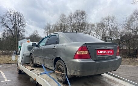 Toyota Corolla, 2003 год, 185 000 рублей, 4 фотография