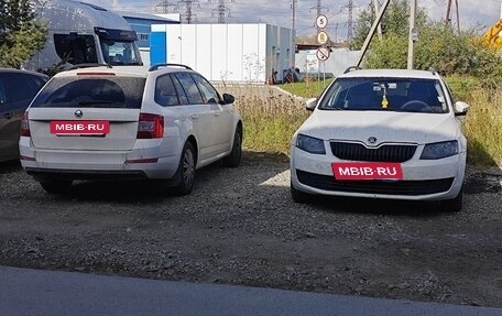 Skoda Octavia, 2017 год, 1 550 000 рублей, 6 фотография