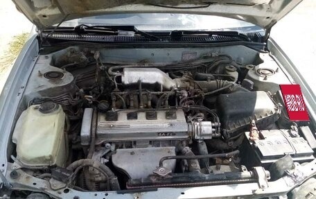 Toyota Corolla, 1997 год, 320 000 рублей, 2 фотография