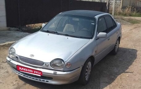 Toyota Corolla, 1997 год, 320 000 рублей, 5 фотография