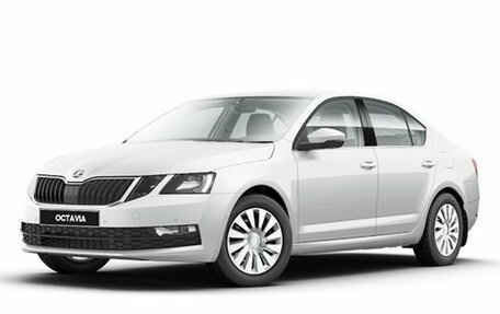 Skoda Octavia IV, 2025 год, 4 250 000 рублей, 1 фотография
