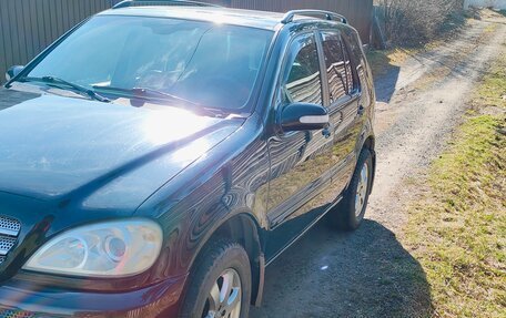 Mercedes-Benz M-Класс, 2003 год, 900 000 рублей, 5 фотография