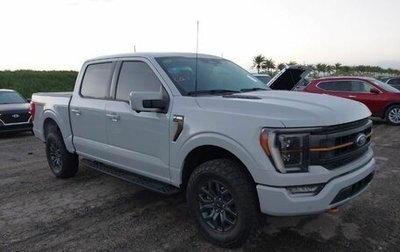 Ford F-150, 2024 год, 7 300 000 рублей, 1 фотография