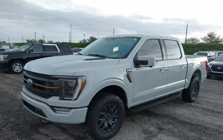 Ford F-150, 2024 год, 7 300 000 рублей, 3 фотография