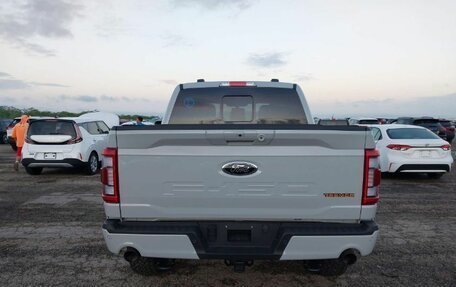 Ford F-150, 2024 год, 7 300 000 рублей, 5 фотография