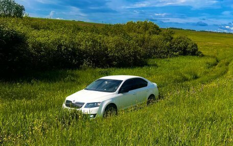 Skoda Octavia, 2014 год, 1 390 000 рублей, 16 фотография