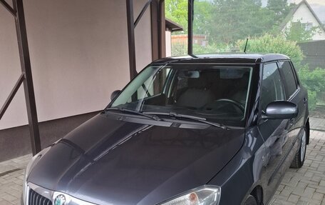 Skoda Fabia II, 2012 год, 780 000 рублей, 8 фотография