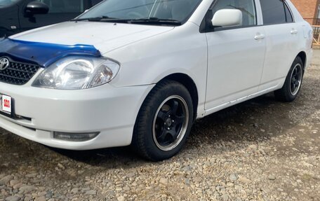 Toyota Corolla, 2001 год, 560 000 рублей, 4 фотография