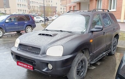 Hyundai Santa Fe III рестайлинг, 2003 год, 540 000 рублей, 1 фотография