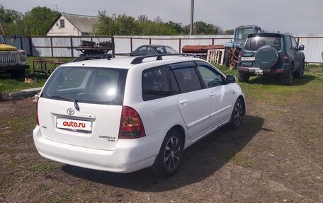 Toyota Corolla, 2006 год, 600 000 рублей, 6 фотография