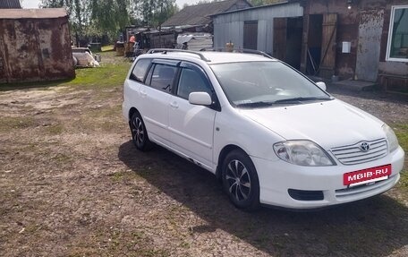Toyota Corolla, 2006 год, 600 000 рублей, 9 фотография
