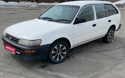Toyota Corolla, 2001 год, 310 000 рублей, 1 фотография