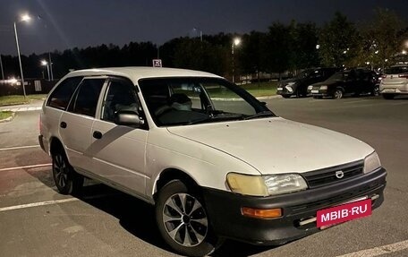 Toyota Corolla, 2001 год, 310 000 рублей, 3 фотография