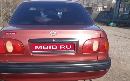 Toyota Corolla, 1999 год, 380 000 рублей, 4 фотография