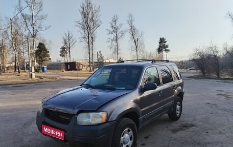 Ford Escape II, 2002 год, 600 000 рублей, 1 фотография