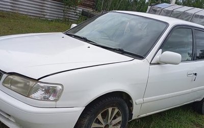 Toyota Corolla, 1999 год, 250 000 рублей, 1 фотография
