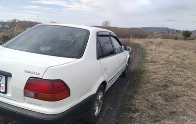 Toyota Corolla, 1996 год, 275 000 рублей, 1 фотография