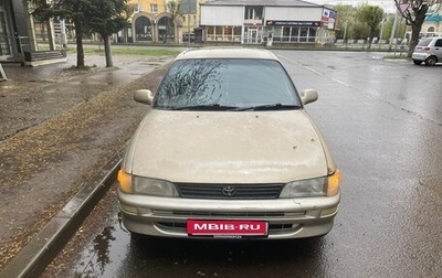 Toyota Corolla, 1995 год, 258 000 рублей, 1 фотография