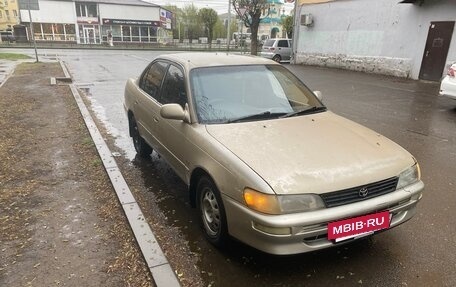 Toyota Corolla, 1995 год, 258 000 рублей, 2 фотография