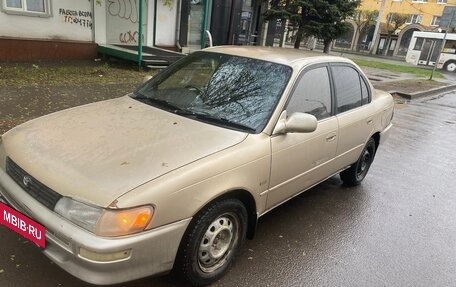 Toyota Corolla, 1995 год, 258 000 рублей, 4 фотография