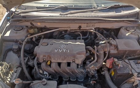 Toyota Corolla, 2003 год, 560 000 рублей, 2 фотография
